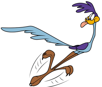 roadrunner1